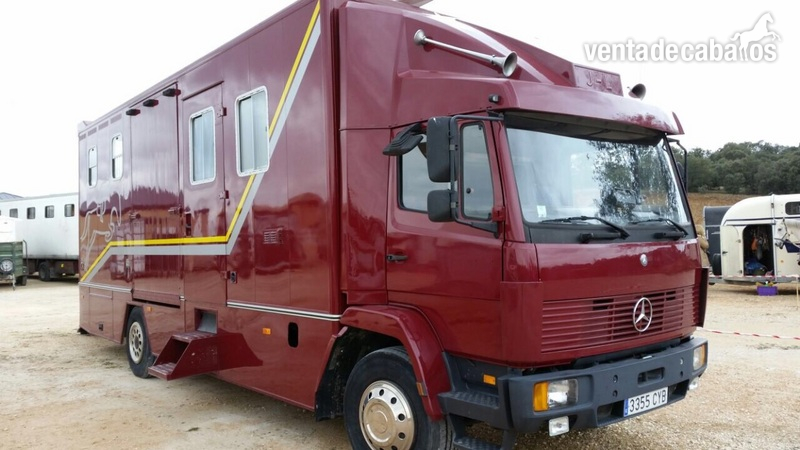 camion transporte caballos in 