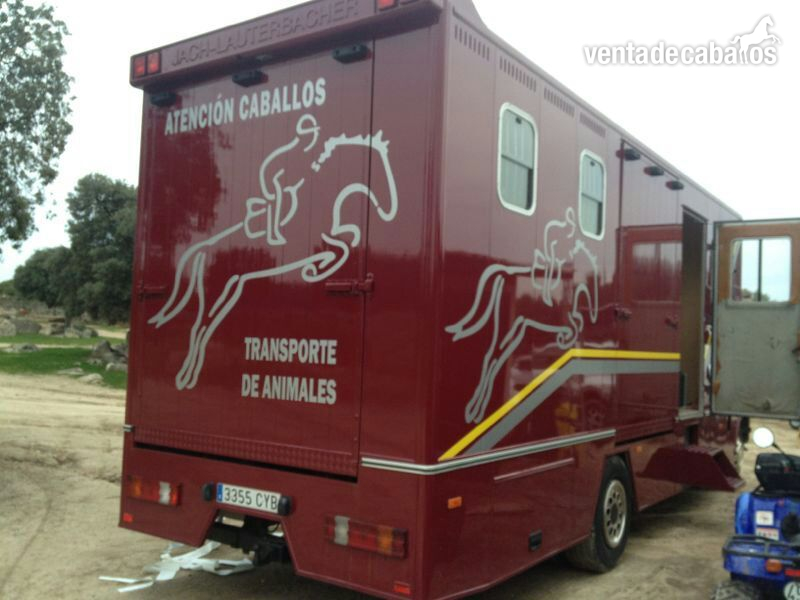 camion transporte caballos