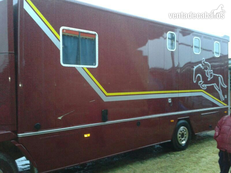  camion transporte caballos
