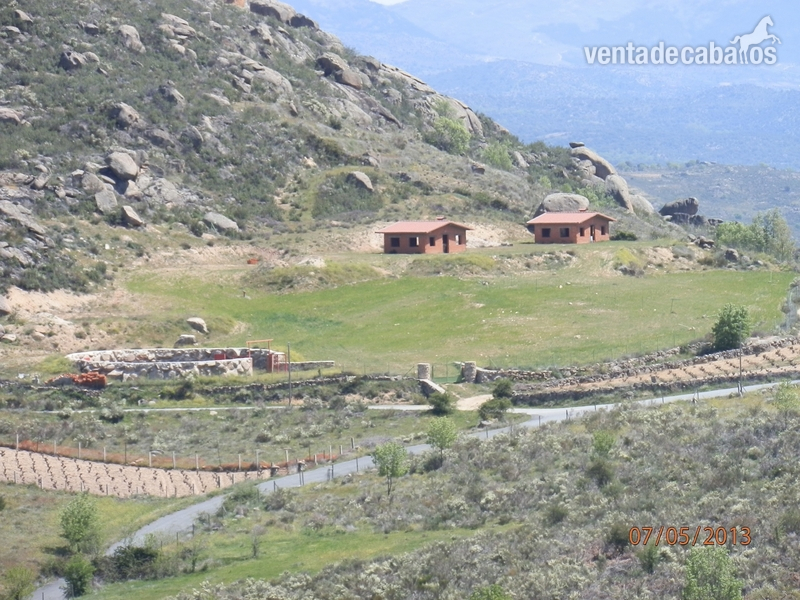 FINCA 10000 M2 SIERRA DE GREDOS in BURGOHONDO