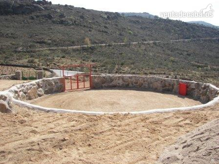FINCA 10000 M2 SIERRA DE GREDOS - Finca ecuestre in BURGOHONDO