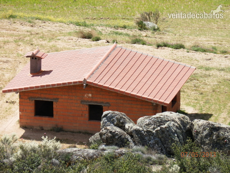 FINCA 10000 M2 SIERRA DE GREDOS - Finca ecuestre