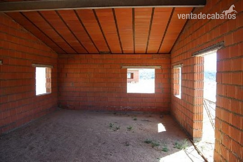 FINCA 10000 M2 SIERRA DE GREDOS BURGOHONDO
