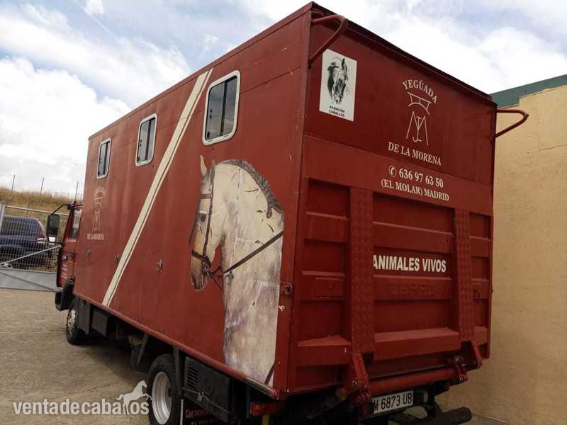 CAMIÓN TRANSPORTE DE CABALLOS