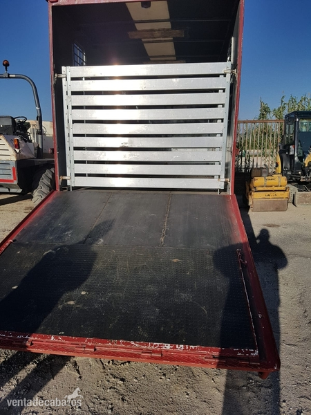  CAMIÓN TRANSPORTE DE CABALLOS
