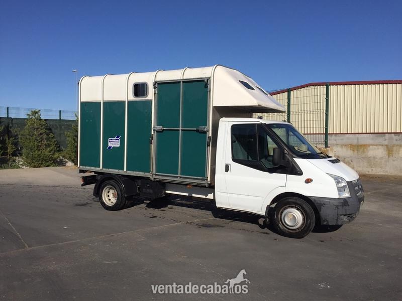 Ford transit  - Transportes de caballos in 