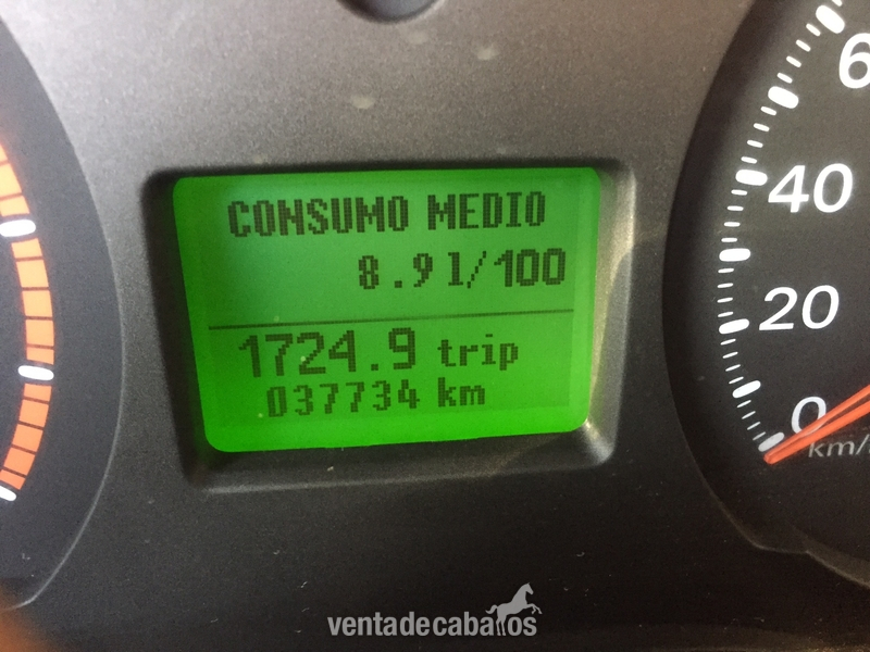 Ford transit  - Transportes de caballos