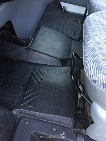 Transportes de caballos - Ford transit  in 