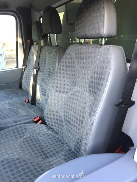 Transportes de caballos - Ford transit 