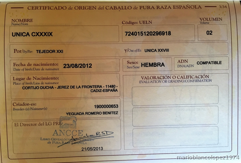 ROMERO BENITEZ POTRA - P.R.E