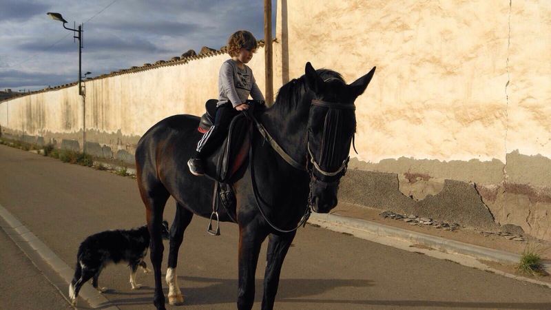 Anglo Hispano Arabe  {TYPE}