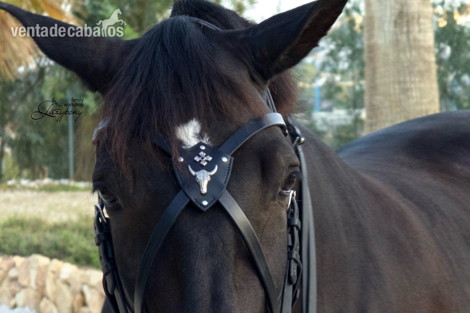 X frontalera de cuero Gothic Lazypony, X browband Gothic, medieval horse browband, cross browband