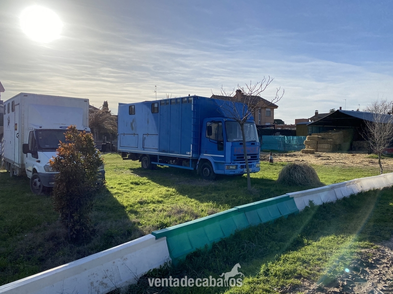 Camión 4 caballos