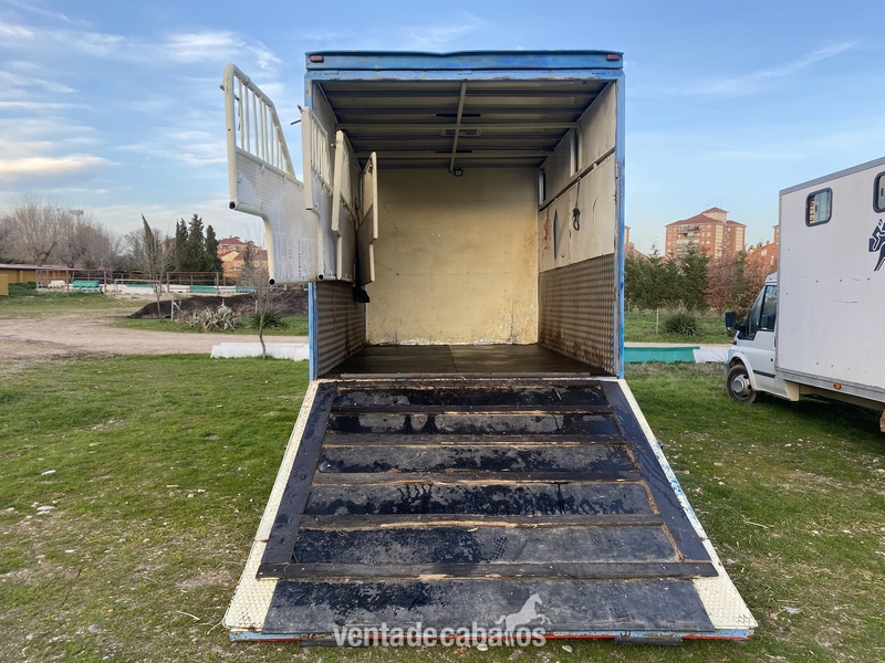 Camión 4 caballos - Transportes de caballos
