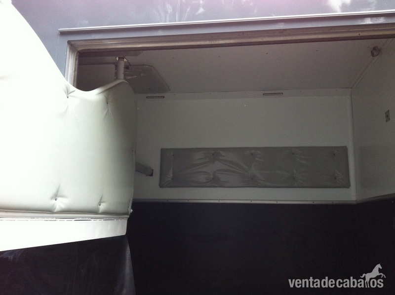 Camion Iveco 2 caballos +vivienda/guadarnes - Transportes de caballos