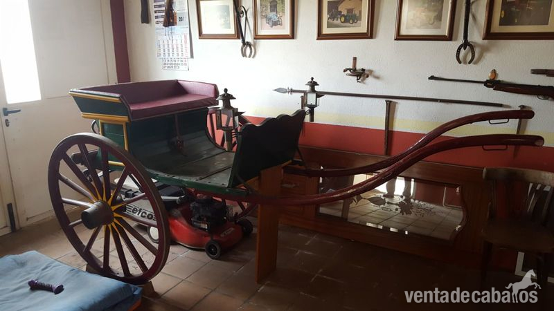 Carro Tilbury 