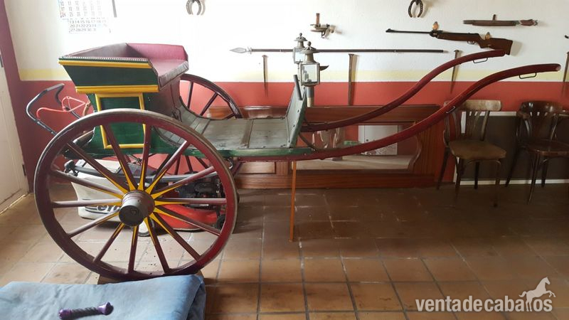 Carro Tilbury  - Carruajes y Enganches in 
