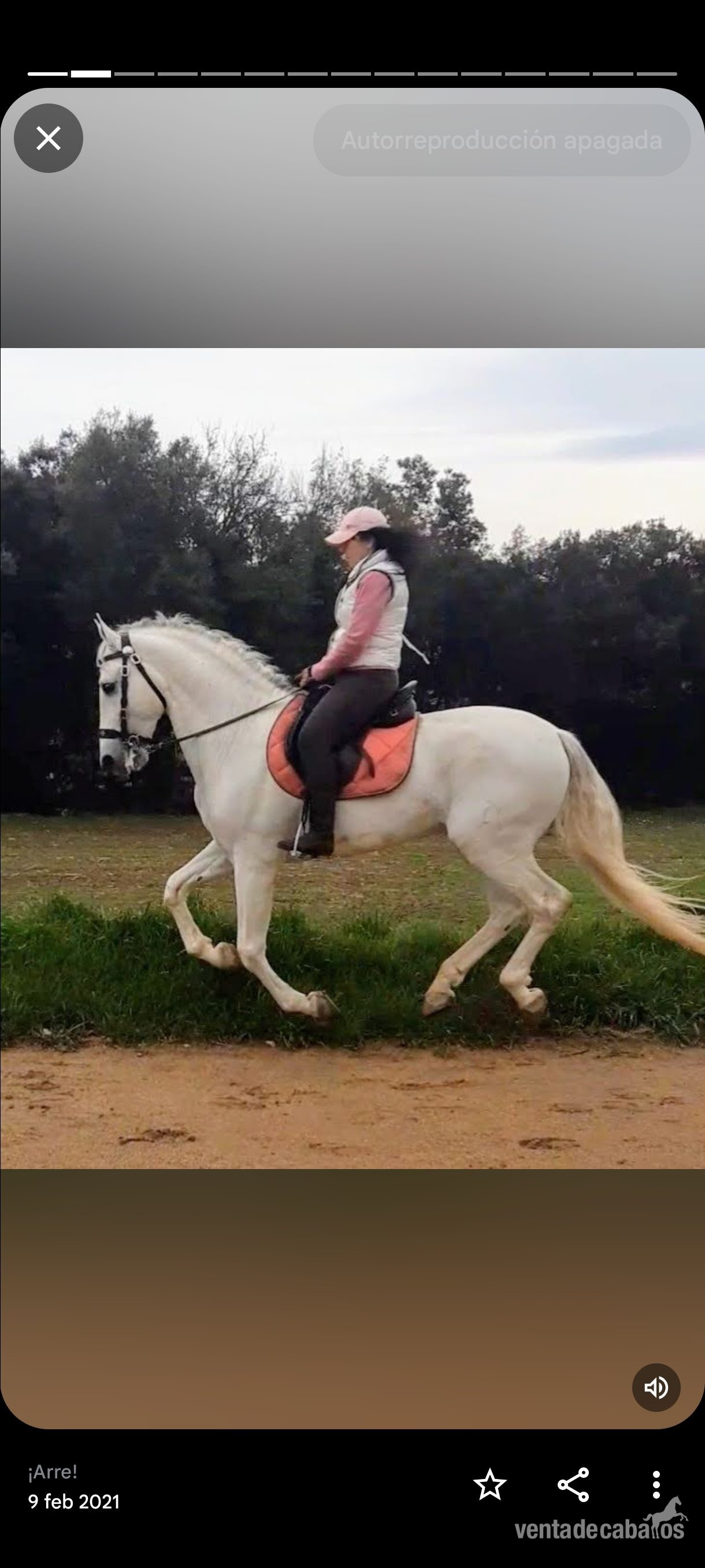 PRE espectacular apto para doma, rutas y enganche in 
