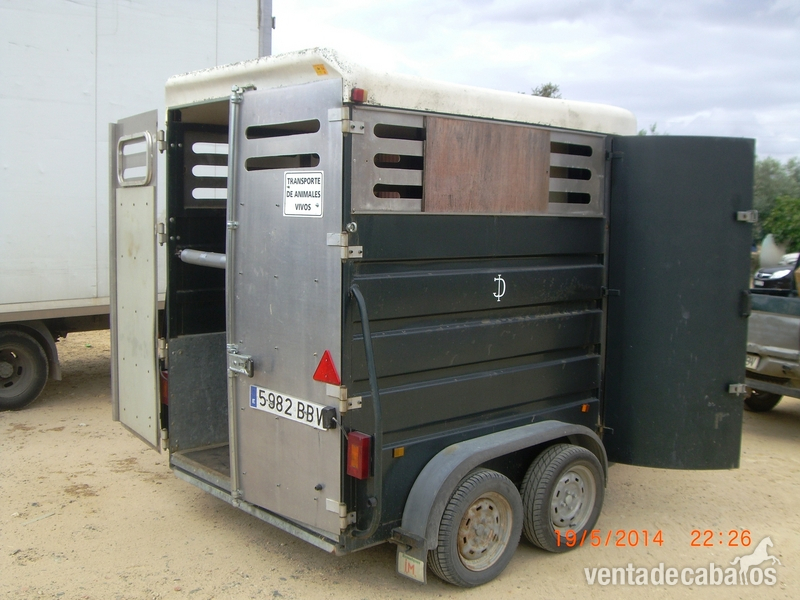 van de 2 caballos de JM in 