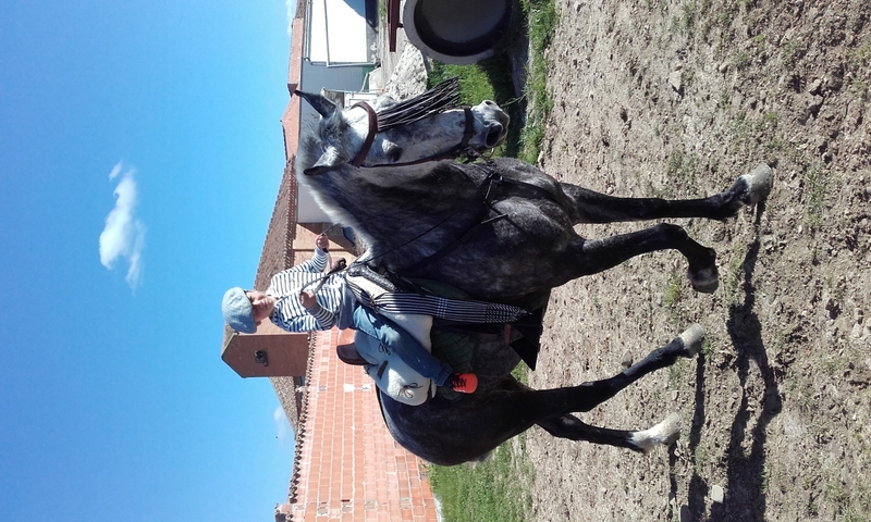 Hispano-Arabe
