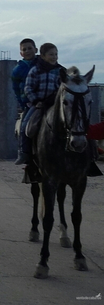Hispano-Arabe {TYPE}