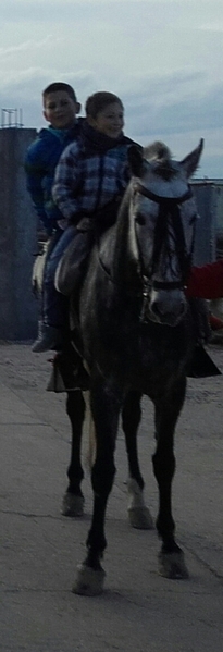 Hispano-Arabe {TYPE}