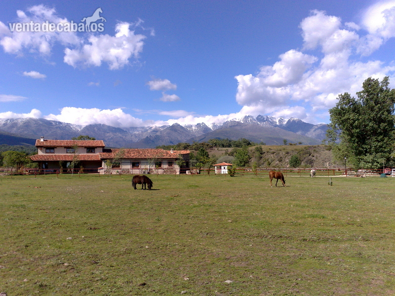 Propiedad en Villanueva de la Vera, Cáceres in Villanueva de la Vera