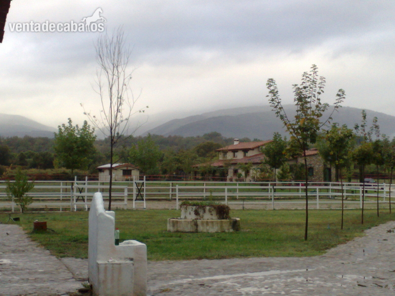 Villanueva de la Vera Propiedad en Villanueva de la Vera, Cáceres