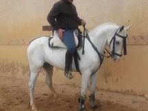 LUSO - ARABE