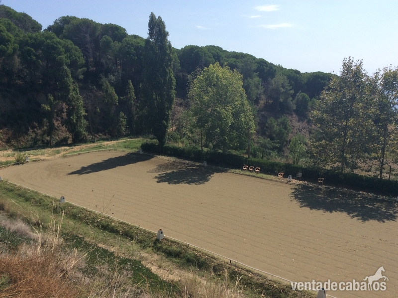 Se alquilan instalaciones hipicas in Sant pol de mar