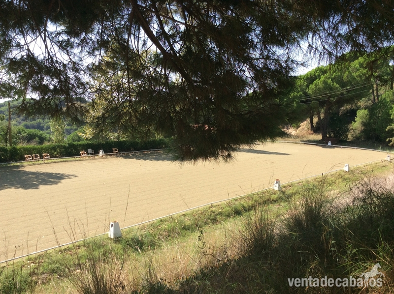 Sant pol de mar Se alquilan instalaciones hipicas