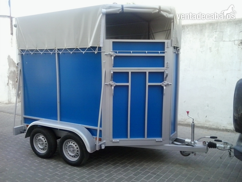 TRANSPORTE DE CABALLOS A NIVEL NACIONAL (24 HORAS) in 