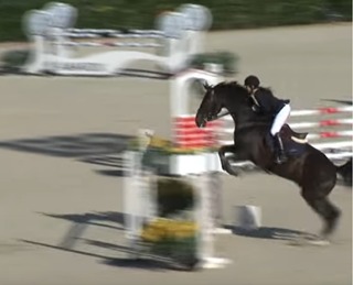 Caballos Enteros Silla francés - CABALLO PARA INFANTIL