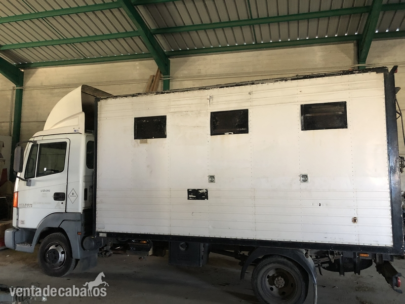 SE VENDE CAMIÓN PARA 3 CABALLOS in 
