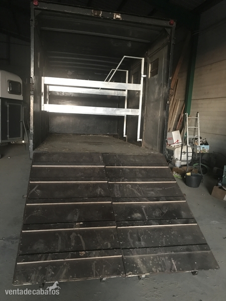 SE VENDE CAMIÓN PARA 3 CABALLOS - Remolques de caballos