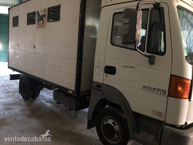 Remolques de caballos - SE VENDE CAMIÓN PARA 3 CABALLOS