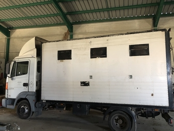 SE VENDE CAMIÓN PARA 3 CABALLOS