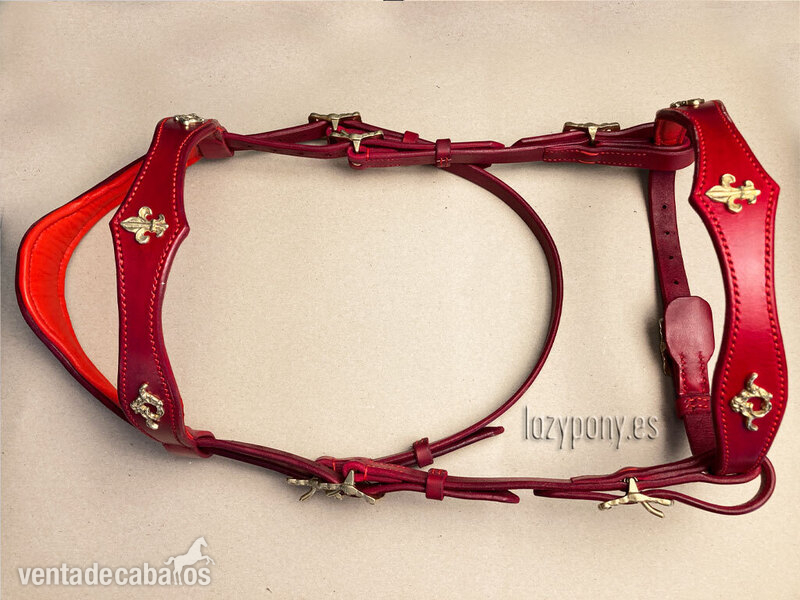 Baroque bridle Vienna Lazypony in 