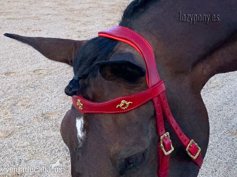 Baroque bridle Vienna Lazypony 