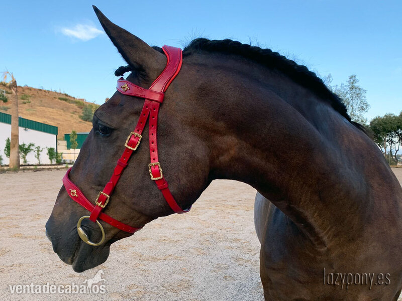 Artículos de hípica - Baroque bridle Vienna Lazypony in 