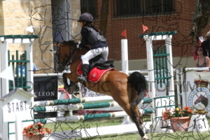 Poni de Competicion / Deporte {TYPE}