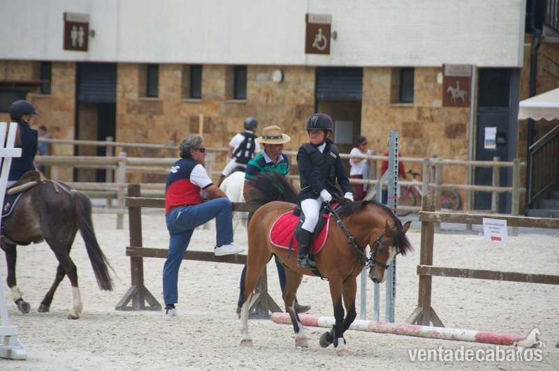 Ponis Pony Club Poni de Competicion / Deporte - Poni b de salto