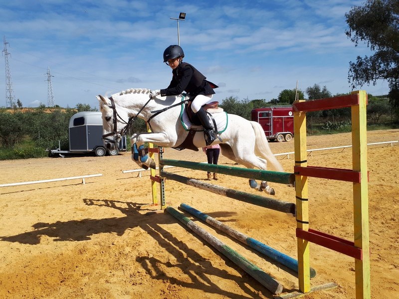 Poni de Competicion / Deporte