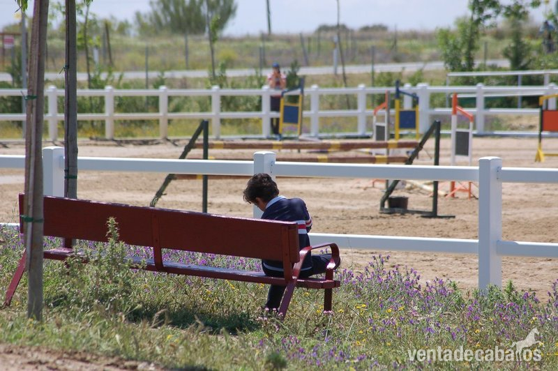 Se alquilan boxes Brunete