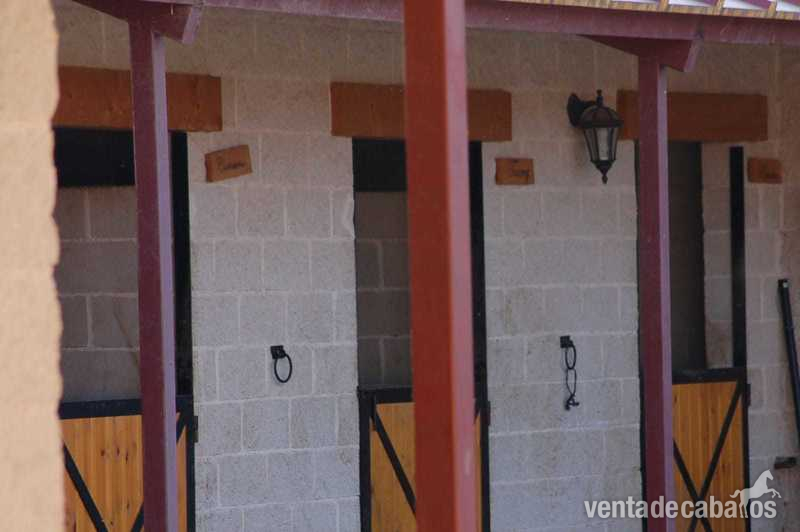 Hípicas y establos en venta - Se alquilan boxes in Brunete