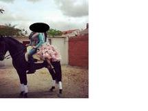 Caballo P.R.E. Entero