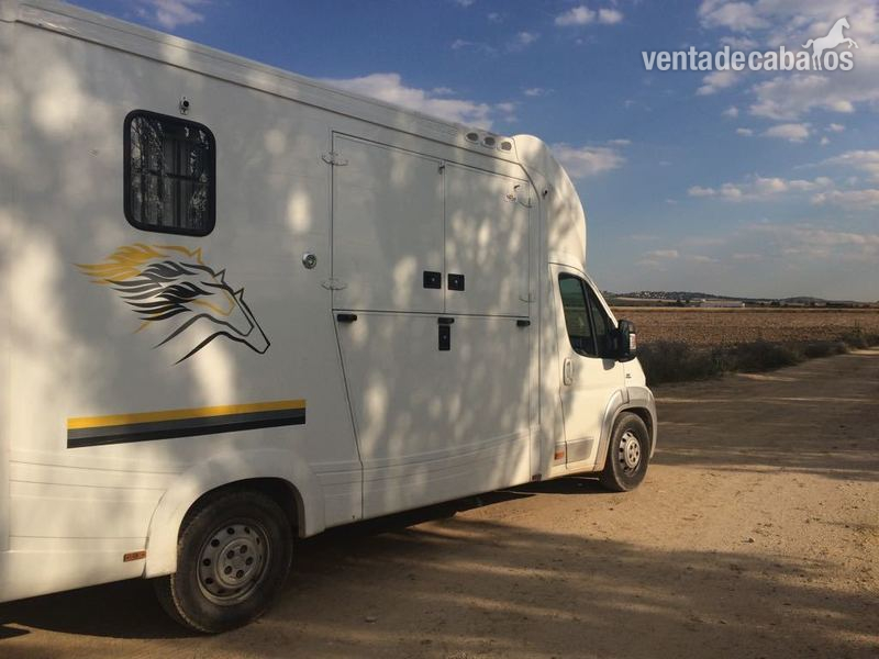 Venta Fiat Ducato 160cv in 