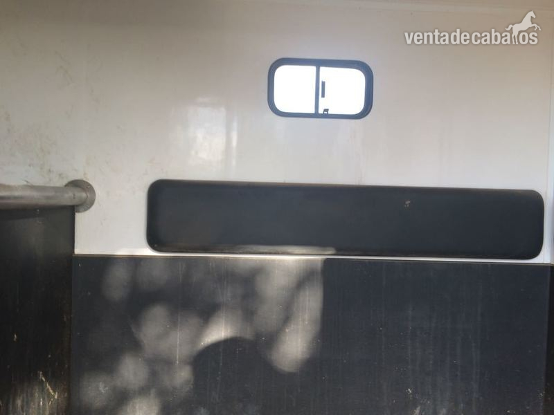 Venta Fiat Ducato 160cv - Transportes de caballos