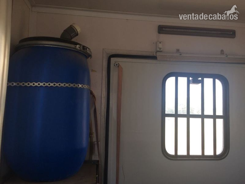 Transportes de caballos - Venta Fiat Ducato 160cv in 