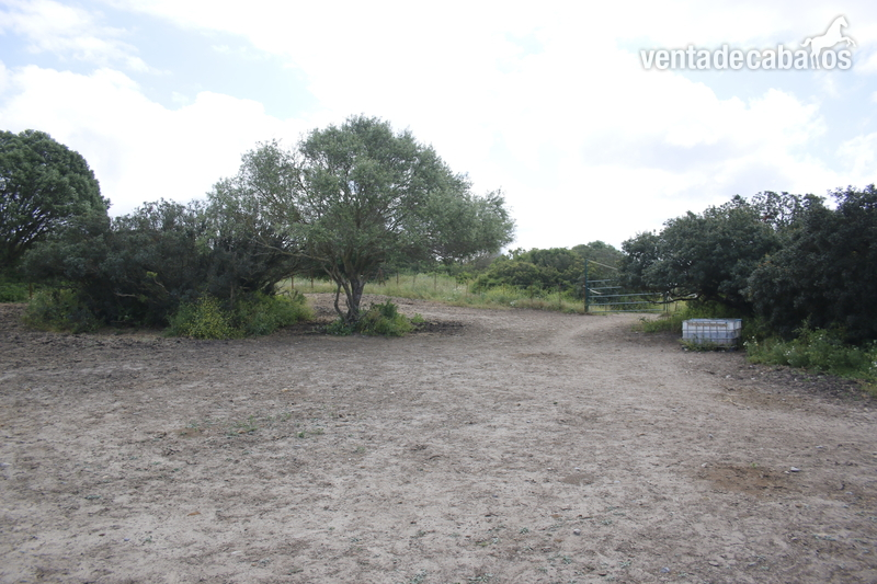 Se alquila Finca de 4ha para tener animales